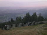 19 : 29
