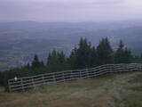 19 : 41