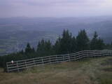 19 : 45