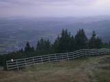 19 : 49