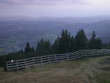 19 : 53