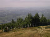 08 : 53