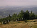 09 : 09