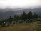 16 : 25