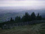 19 : 29