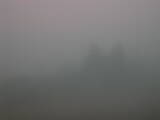 08 : 33