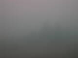 08 : 41