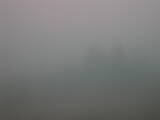 13 : 29
