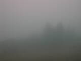 14 : 45