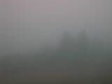 14 : 53