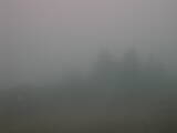 15 : 09
