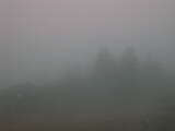15 : 17