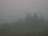 15 : 25