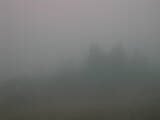 15 : 33