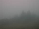 15 : 37