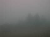 15 : 41