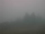 15 : 45