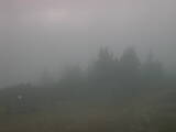 15 : 53