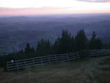 19 : 33