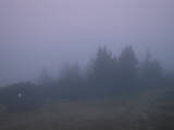 06 : 05