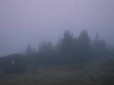 06 : 41