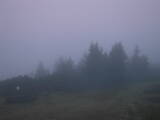 06 : 49