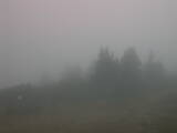 09 : 05