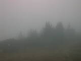 09 : 21