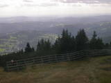 15 : 49
