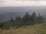 17 : 25