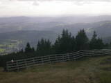 17 : 29