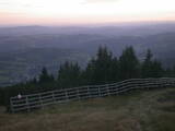 19 : 17