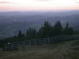 19 : 25