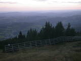 19 : 29
