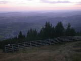 19 : 33