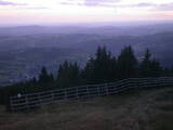 19 : 41