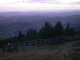 19 : 45