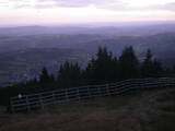 19 : 49