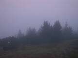 06 : 05