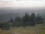 16 : 25