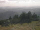 16 : 29