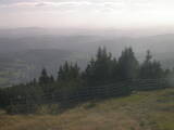 17 : 29