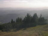 17 : 33