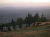 19 : 25