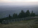 19 : 29