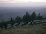 19 : 33