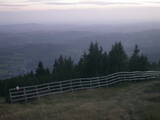 19 : 37