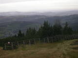 07 : 49