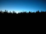 03 : 46