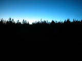 03 : 50